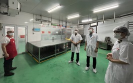 Kế hoạch đảm bảo an toàn thực phẩm nông lâm thủy sản phục vụ Tết Dương lịch, Tết Nguyên đán Bính Ngọ và Lễ hội Xuân 2026