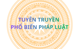 LUẬT SỬA ĐỔI, BỔ SUNG MỘT SỐ ĐIỀU CỦA LUẬT BẦU CỬ ĐẠI BIỂU QUỐC HỘI VÀ ĐẠI BIỂU HỘI ĐỒNG NHÂN DÂN