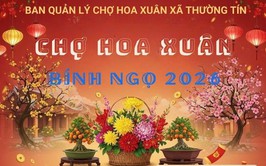 Thông báo: Đăng ký kinh doanh tại Chợ hoa Xuân Bính Ngọ 2026 trên địa bàn xã Thường Tín