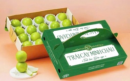 Táo Minh Châu – Tinh hoa Đảo Ngọc: từng bước đặt nền móng OCOP cho sản phẩm nông sản của địa phương