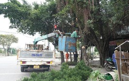 Nỗ lực tháo gỡ điểm nghẽn trật tự đô thị, xây dựng xã Dương Hoà kỷ cương, văn minh, xanh - sạch - đẹp