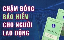 Danh sách đơn vị sử dụng lao động chậm đóng BHXH, BHYT trên địa bàn phường Thanh Xuân