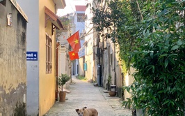 Thượng Phúc quyết liệt khắc phục 