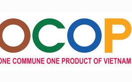 Danh sách sản phẩm đăng ký tham gia Chương trình OCOP năm 2025 và dự kiến đăng ký kế hoạch giai đoạn 2026 - 2030