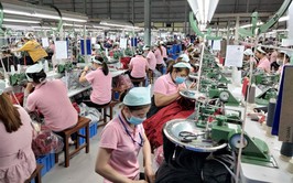 Luật Việc làm 2025 - Nền tảng pháp lý mới cho thị trường lao động bền vững và nhân văn