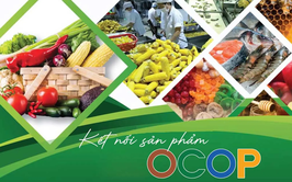 Danh sách các cơ sở sản xuất, sơ chế, chế biến, kinh doanh thực phẩm được cấp Giấy chứng nhập sản phẩm OCOP trên địa bàn xã An Khánh