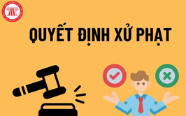 Xử phạt vi phạm hành chính trong lĩnh vực an toàn thực phẩm đối với hộ kinh doanh 