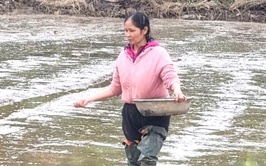 Đoài Phương đảm bảo gieo cấy vụ Xuân đúng lịch thời vụ