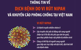Xã Thượng Phúc: Chủ động phòng, chống bệnh do vi rút Nipah để bảo vệ sức khỏe cộng đồng