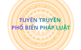 TÌM HIỂU MỘT SỐ QUY ĐỊNH PHÁP LUẬT VỀ BẦU CỬ
ĐẠI BIỂU QUỐC HỘI VÀ ĐẠI BIỂU HỘI ĐỒNG NHÂN DÂN