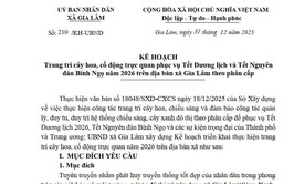Gia Lâm triển khai trang trí cây hoa, cổ động trực quan phục vụ Tết Dương lịch 2026 và Tết Nguyên đán Bính Ngọ