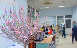 Tăng cường công tác cấp cứu và khám, chữa bệnh dịp Tết Nguyên đán 2026