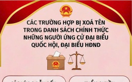 Bản tin mỗi ngày 1 phút dành cho Bầu cử phường Tây Tựu ngày 28/2/2026