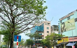 Phân luồng giao thông phục vụ thi công khẩn cấp tuyến cống dọc đường Lạc Long Quân - Hoàng Quốc Việt