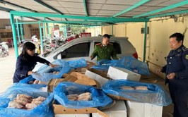 Tây Hồ quyết liệt bảo đảm an toàn thực phẩm dịp Tết