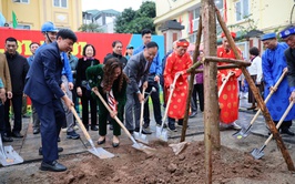 Phường Tương Mai: Trồng cây xanh bảo vệ môi trường, nâng cao chất lượng cuộc sống