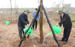 Xã Mê Linh tổ chức Lễ phát động Tết trồng cây 