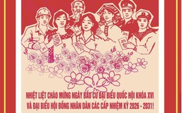 CỬ TRI VÀ CÁCH TÍNH TUỔI CÔNG DÂN TRONG BẦU CỬ NHỮNG TRƯỜNG HỢP KHÔNG ĐƯỢC GHI TÊN VÀO DANH SÁCH CỬ TRI