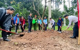 Tây Hồ triển khai công trình Tết trồng cây tại Khu Di tích Phủ Chủ tịch