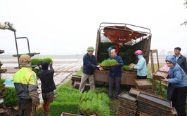 Đồng chí Phó Chủ tịch UBND xã kiểm tra, động viên sản xuất vụ xuân