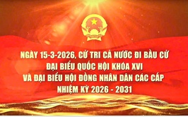Hà Nội, đẩy mạnh tuyên truyền, phổ biến pháp luật phục vụ cuộc bầu cử