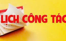 Lịch công tác tuần 9 phường Long Biên