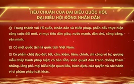 Tiêu chuẩn đại biểu Quốc hội, đại biểu Hội đồng nhân dân