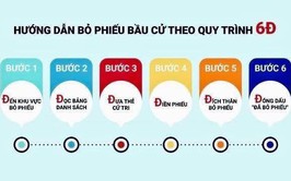 HƯỚNG DẪN QUY TRÌNH BỎ PHIẾU BẨU CỬ
