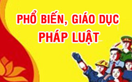 Tuyên truyền pháp luật giao thông đường bộ, đường 
sắt; pháp luật về an toàn thực phẩm; pháp luật về bảo vệ môi trường, an ninh, trật tự, an toàn xã hội, phòng, chống bạo lực gia đình