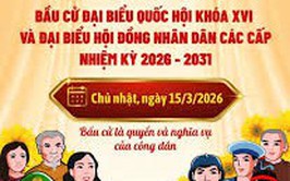 Hỏi- Đáp về bầu cử