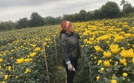 Người làm giàu trên quê hương: Câu chuyện về vườn Hoa Cúc và Loa Kèn của Anh Chiến - Chị Hoa