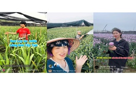 Tây Tựu: Phát triển nông nghiệp gắn với ứng dụng công nghệ, mở rộng thị trường