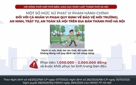Một số mức xử phạt vi phạm hành chính đối với cá nhân vi phạm quy định về bảo vệ môi trường an ninh, trật tự, an toàn xã hội trên địa bàn thành phố Hà Nội