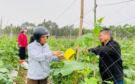 BÁC NÔNG DÂN TRẦN VĂN MẠNH: 