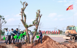 Lãnh đạo xã Minh Châu ra quân trồng cây đầu xuân 2026 tại khu vực Chợ Minh Châu.