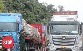 Tạm dừng áp dụng Nghị định 46 về an toàn thực phẩm đến hết ngày 15-4-2026