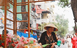 Hà Nội tái hiện chợ hoa Hàng Lược trăm năm tuổi tại phố cổ dịp xuân Bính Ngọ