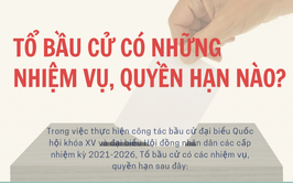 Nhiệm vụ của Tổ bầu cử Đại biểu Quốc hội khóa XVI và bầu cử Đại biểu HĐND các cấp, nhiệm kỳ 2026-2031 