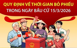 Quy định về thời gian bỏ phiếu trong ngày bầu cử 15/3