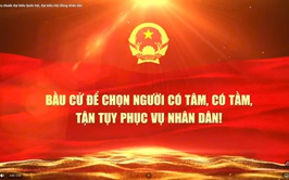 Cử tri đi bầu cử cần lưu ý những gì?