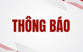 Kết quả xử phạt ATTP năm 2026 - Đoàn kiểm tra số 1 - Dịp Tết Nguyên đán và Lễ hội Xuân 2026