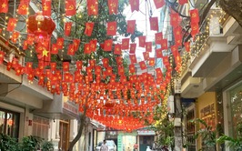 Phường Thanh Xuân rực rỡ cờ, hoa chào mừng ngày bầu cử Đại biểu Quốc hội khóa XVI và đại biểu HĐND các cấp nhiệm kỳ 2026-2031