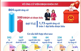 Bầu cử Quốc hội và HĐND các cấp: Công tác nhân sự được chuẩn bị chặt chẽ, bảo đảm cơ cấu theo quy định