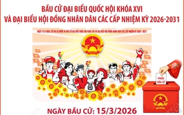 Bầu cử Quốc hội và HĐND các cấp: Cả nước có gần 79 triệu cử tri sẽ tham gia bỏ phiếu