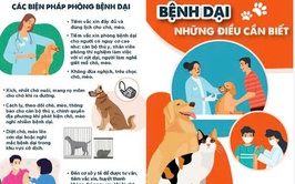 BÀI TUYÊN TRUYỀN: PHÒNG, CHỐNG BỆNH DẠI TRÊN ĐỊA BÀN XÃ PHÚC SƠN