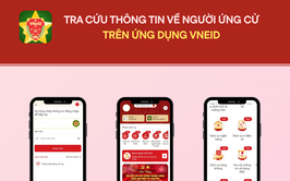 Cách tra cứu thông tin về người ứng cử đại biểu Quốc hội và Hội đồng nhân dân trên VNeID