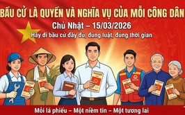 HÃY ĐI BẦU SỚM - ĐI BẦU ĐẦY ĐỦ - ĐI BẦU ĐÚNG QUY ĐỊNH!