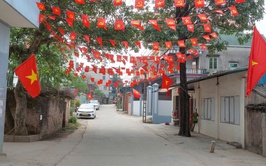 Phú Nghĩa trang trí cờ hoa rực rỡ chào mừng Ngày bầu cử 15/3/2026