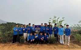 ĐƯỜNG HOA THANH NIÊN – DẤU ẤN TUỔI TRẺ BA VÌ