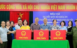 Phường Thanh Xuân hoàn tất công tác chuẩn bị, sẵn sàng cho ngày bầu cử